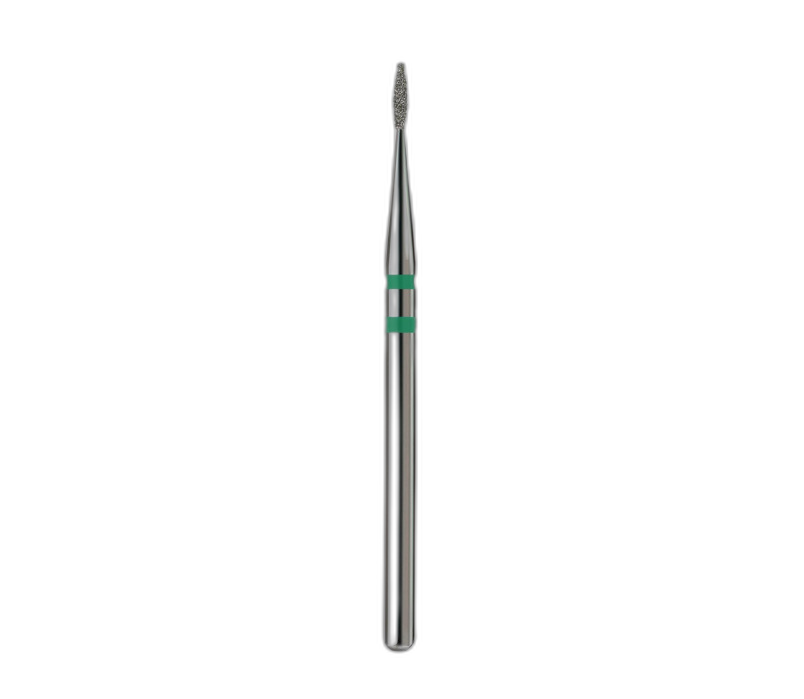 Terav leek 1.0 green (Premium)