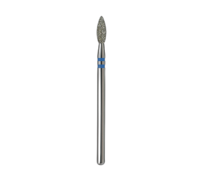 Terav leek 2.7 blue (Premium)