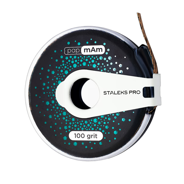 Vahetatav viillint papmAm klambriga 100 grit STALEKS PRO EXCLUSIVE